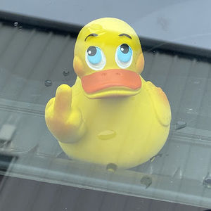 Meet your Posher, Corey